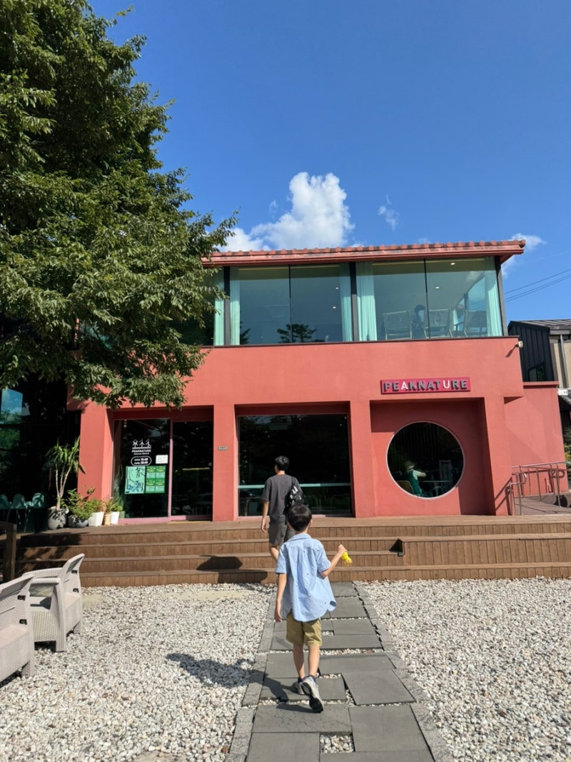 영암 당일치기 코스 반값여행 후기｜영암맛집｜농업박물관｜무화과축제｜영암카페 피크니....