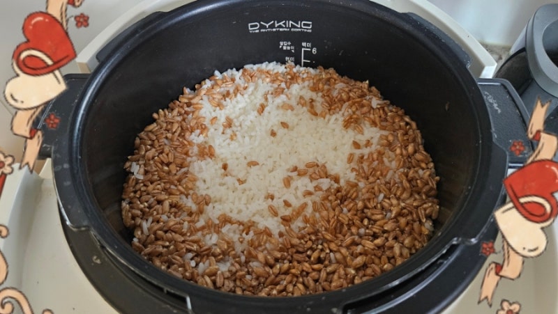 요즘 대세 고대곡물 ‘파로(Farro)’ 쌀에 섞어 먹으면 좋은 이유! 영양성분, 칼로리, 식감 총....