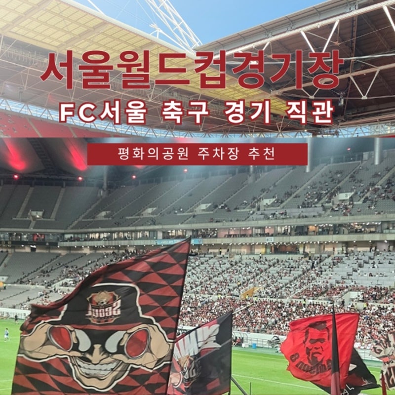 서울월드컵경기장 주차장 평화의공원 주차 추천! FC서울 축구 경기 직관 후기