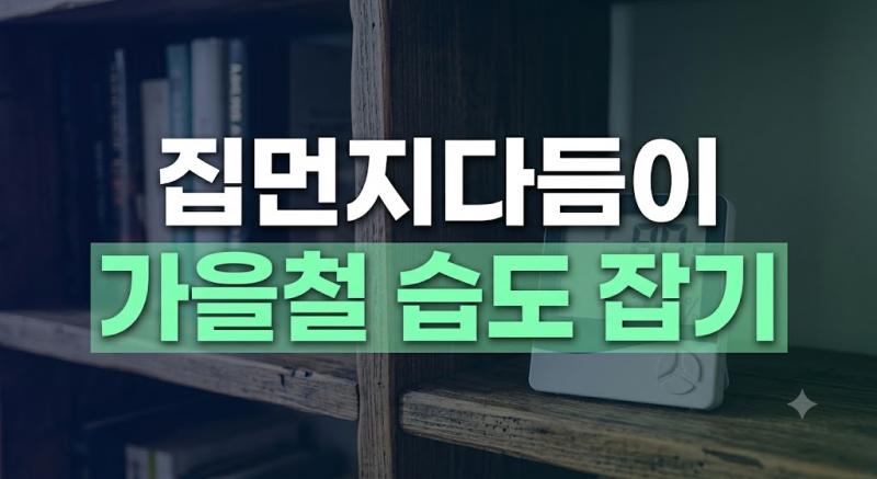 가을철 갑자기 늘어난 집먼지다듬이 잡는 실내 습도 관리법