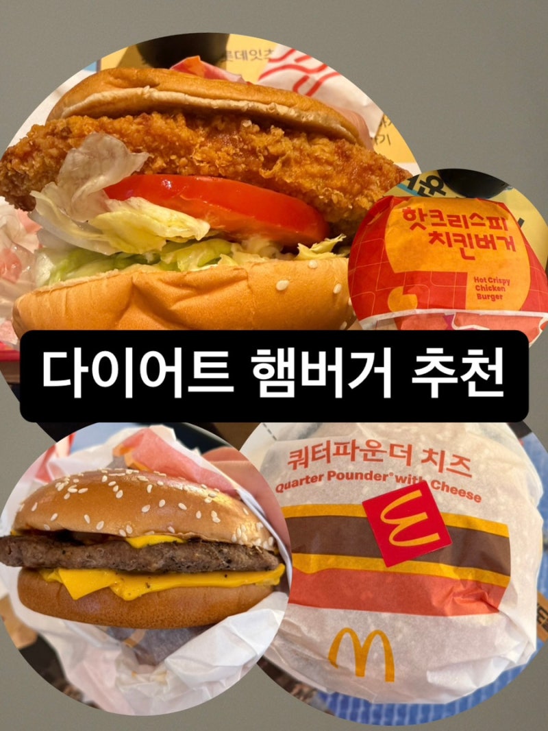 다이어트할 때 먹어도 되는 햄버거? 싹 추천해드립니다˚ ✦ . ⁺