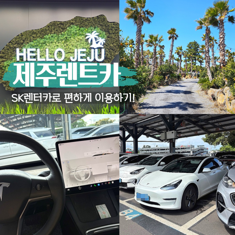 제주 렌트카 추천! SK 렌터카 제주지점에서 편하게 이용하기