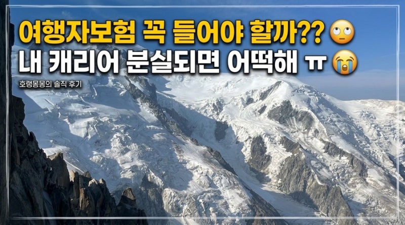"유럽에서 돌아왔는데 내 캐리어만 사라졌다?" 수하물 분실 겪고 쓰는 여행자 보험 찐 비교