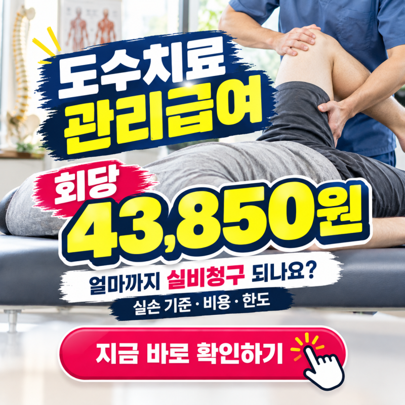 "실비청구 얼마까지 가능?" - 도수치료 관리급여(43,850원) 실손 기준, 비용, 청구방법 핵심 정....