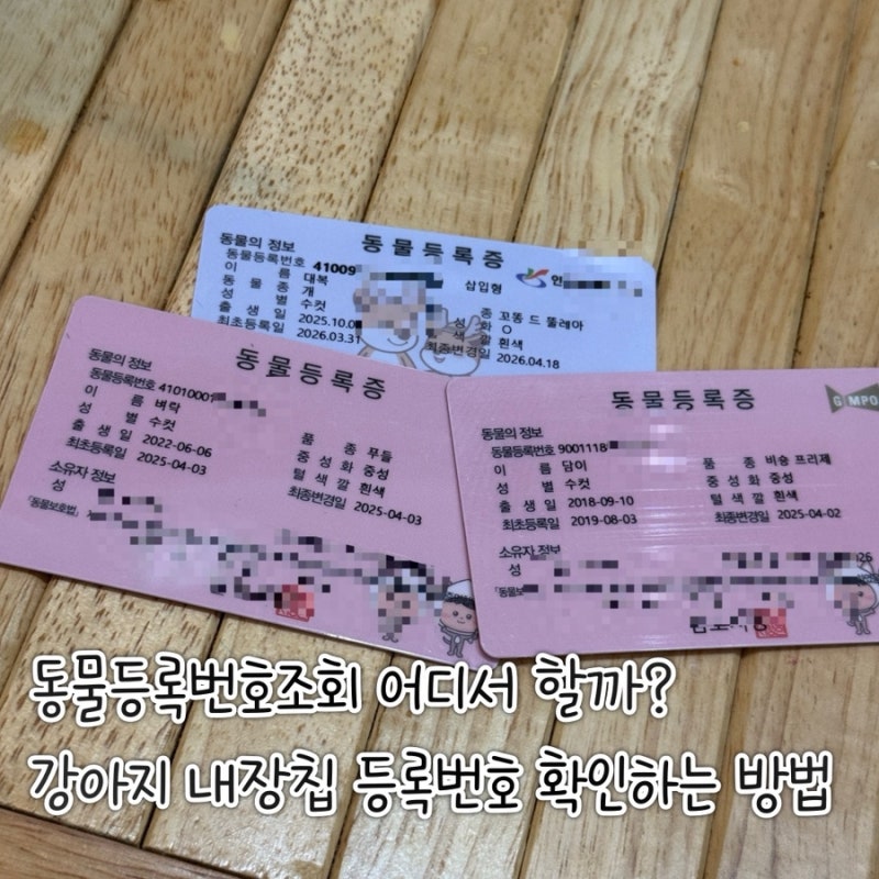 동물등록번호조회 어디서 할까 강아지 내장칩 등록번호 확인하는 방법