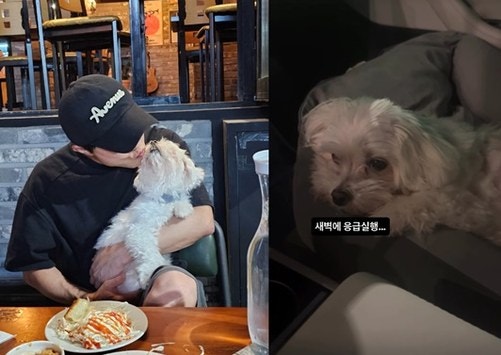 박성광 “새벽에 응급실행”…아내 이어 반려견 광복이까지, 성광복이라는 이름처럼