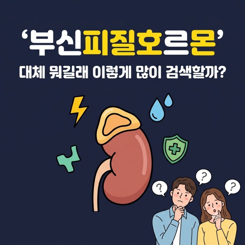 부신피질호르몬 스테로이드와 같은 걸까? 부작용·장기복용·검사 총정리