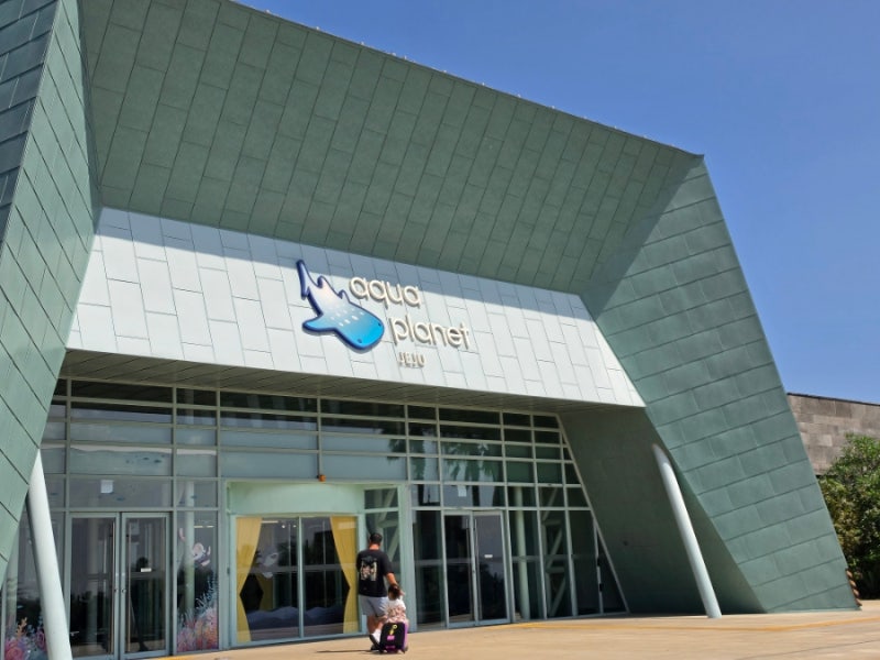 [제주] 제주 아쿠아플라넷 할인, 주차정보, 제주도 아이랑 다녀온 후기