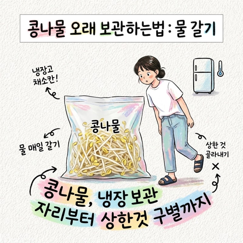 콩나물 오래 보관하는법 물 갈기와 냉장 보관 자리부터 상한것 구별까지