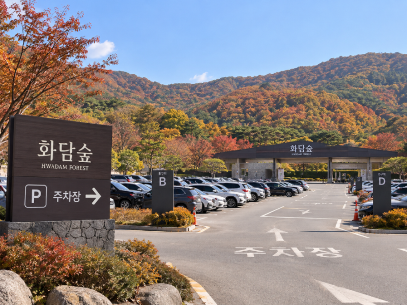 화담숲 주차장 어디에 해야 할까? 주차부터 리프트·입구 가는법 총정리