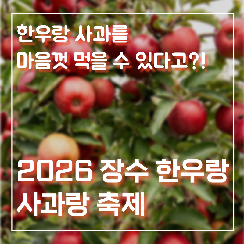 한우 좋아한다면 여기! 이번 주말 장수로 가야 하는 이유! | 2026 장수 한우랑 사과랑 축제 일....