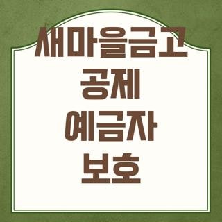 새마을금고 공제 예금자 보호 대상 금액 신청방법 완벽정리, 모르면 나만 손해보는 3가지