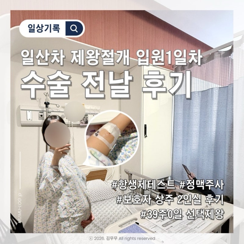 일산차병원 제왕절개 5박6일 입원 1일차 수술 전날 후기 (보호자상주 2인실 배정, 항생제테스....