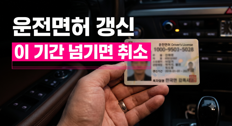 운전면허 적성검사 갱신기간 변경 총정리: 대상별 주기와 과태료 기준