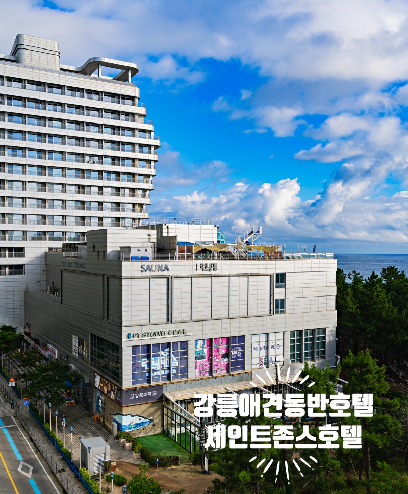 강릉 애견동반호텔 추천 세인트존스호텔 펫룸 숙박 후기｜인피니티풀·강문주막·쓰리밀즈·....