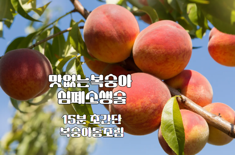 맛없는 복숭아 활용법  복숭아 통조림 만들기