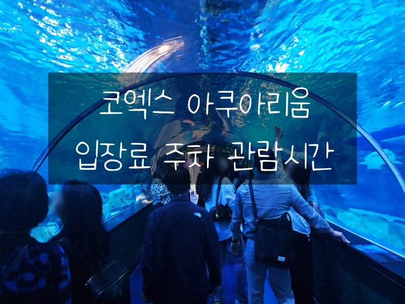 코엑스 아쿠아리움 후기 / 입장료 주차할인 관람시간 직접 다녀온 서울 실내 데이트코스