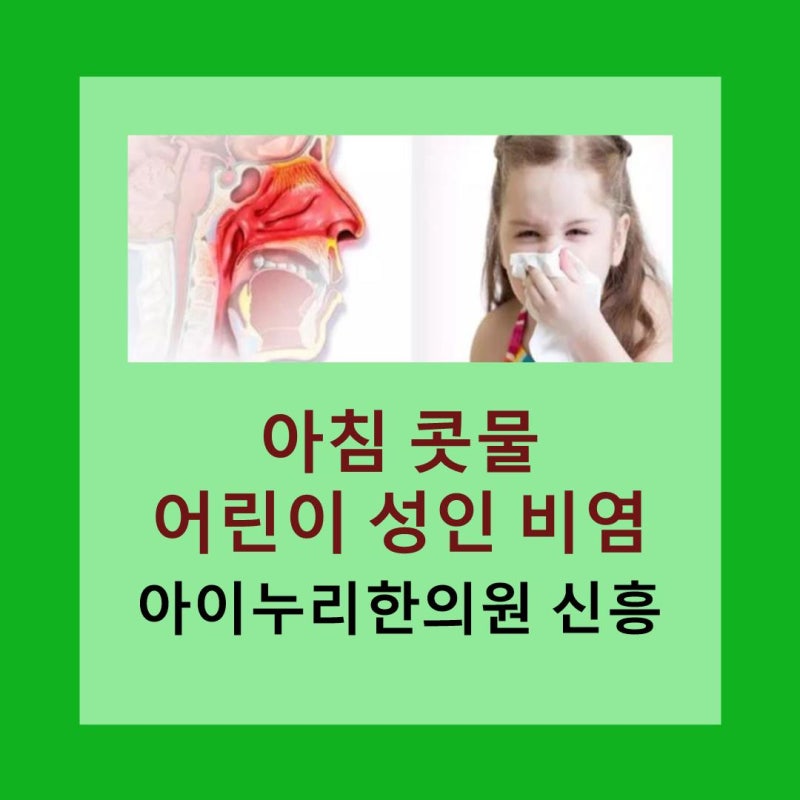 성남 위례 경기광주 한의원 / 알레르기 비염, 혈관성 비염, 코 비염 한의원 한약의 성분과 가....