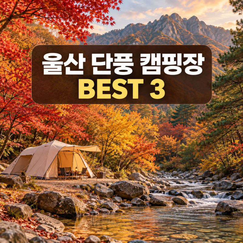 울산 가을 캠핑장 단풍과 숲의 향을 나만 알고싶은 캠핑장