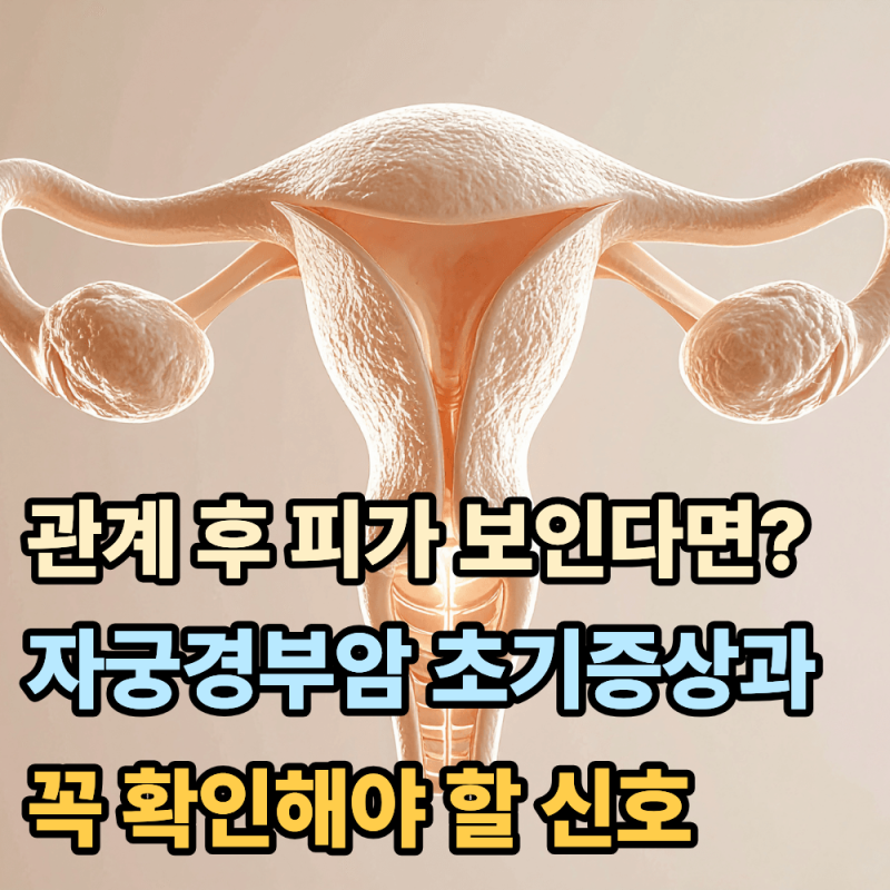 관계 후 피가 보인다면? 자궁경부암 초기증상과 꼭 확인해야 할 신호