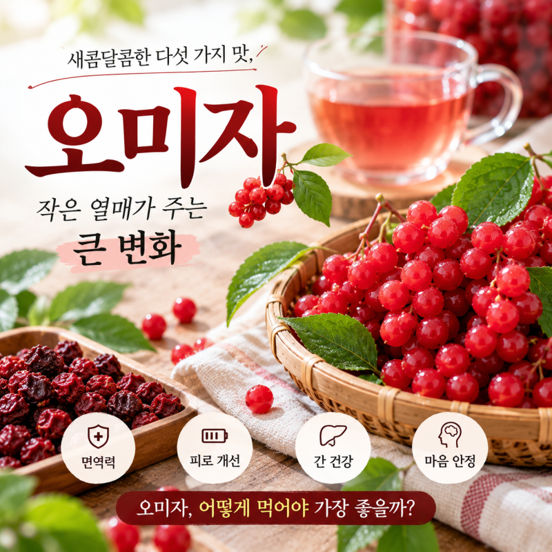 오미자차 효능 맛있게 먹는법 보관법 하루얼마나