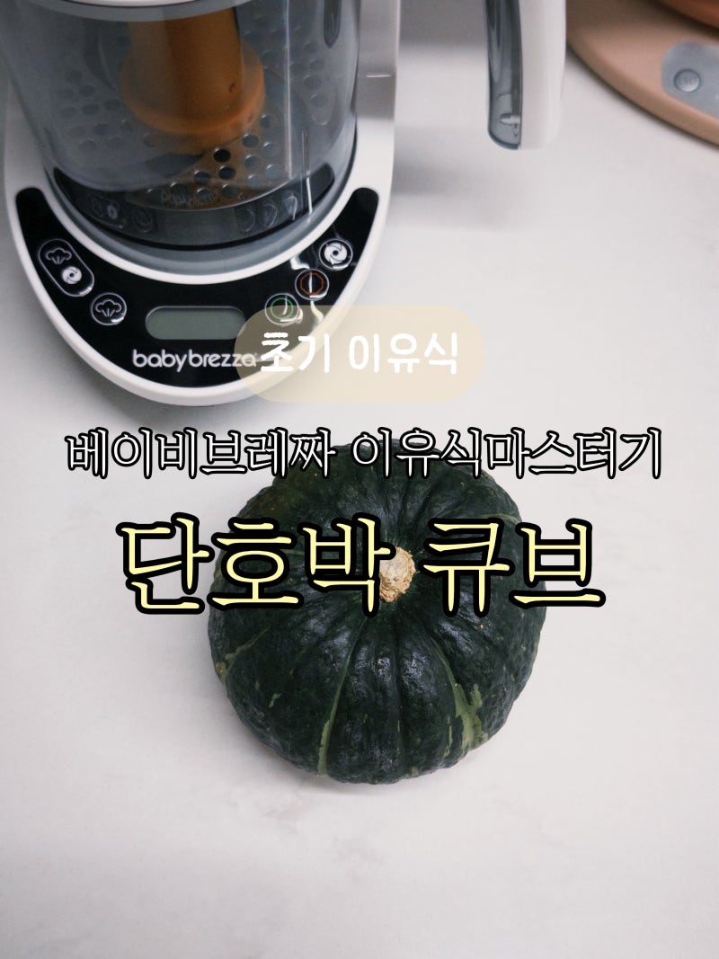 초기 이유식 단호박 큐브 레시피｜베이비브레짜 이유식마스터기로 만들기