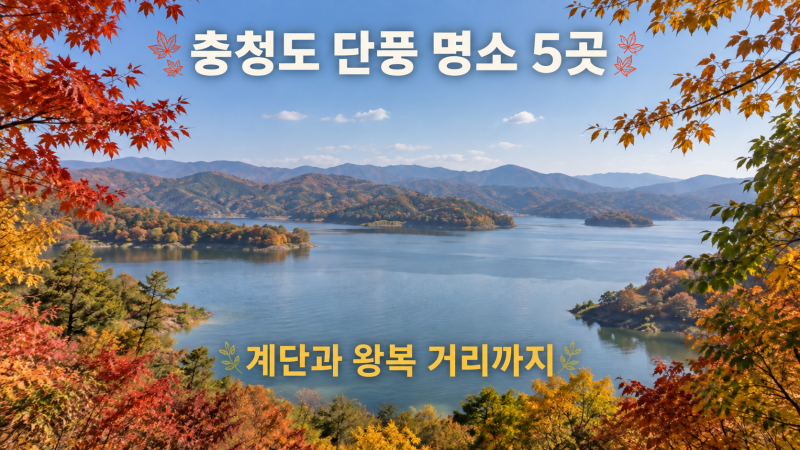 충청도 단풍 명소 5곳, 부모님과 간다면 걷는 길부터 보세요