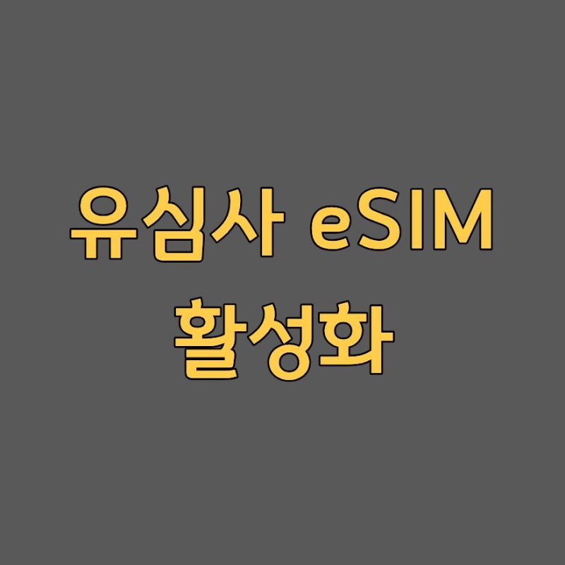 유심사 eSIM 활성화 안됨 데이터 연결 해결 2026
