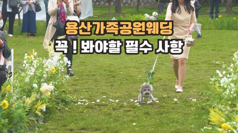 [15탄] 용산가족공원웨딩 예약하신 분들. 이 글 보면 절대 후회 안합니다.