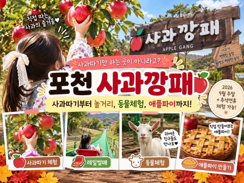 포천 아이와 가볼만한곳 사과깡패사과따기체험｜사과따기부터 놀이터·동물체험까지