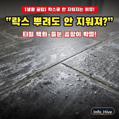 “락스 뿌려도 안 지워져?” 욕실 타일 백화현상·줄눈 곰팡이 뿌리 뽑는 법