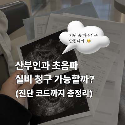 산부인과 초음파 실비 청구 가능한 것 vs 안 되는 것 ｜ 난포초음파·임신 준비 중 실비 청구 ....