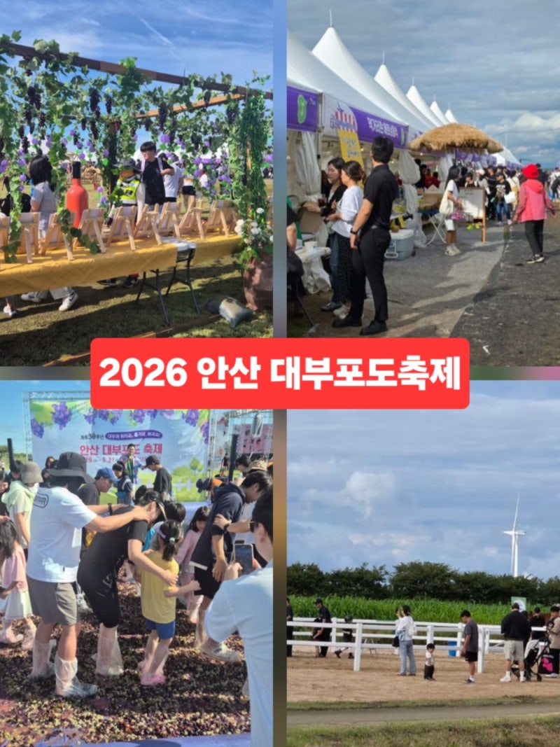 안산 가볼만한곳 대부포도축제 대부도 갈만한곳