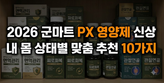 2026 군마트 PX 영양제 신상 총정리: 몸 상태별 맞춤 추천 10가지 명절 선물준비