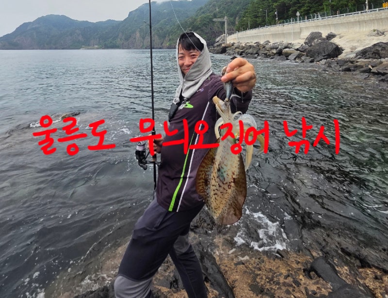 울릉도 무늬오징어 낚시(포인트 대박 조행기)