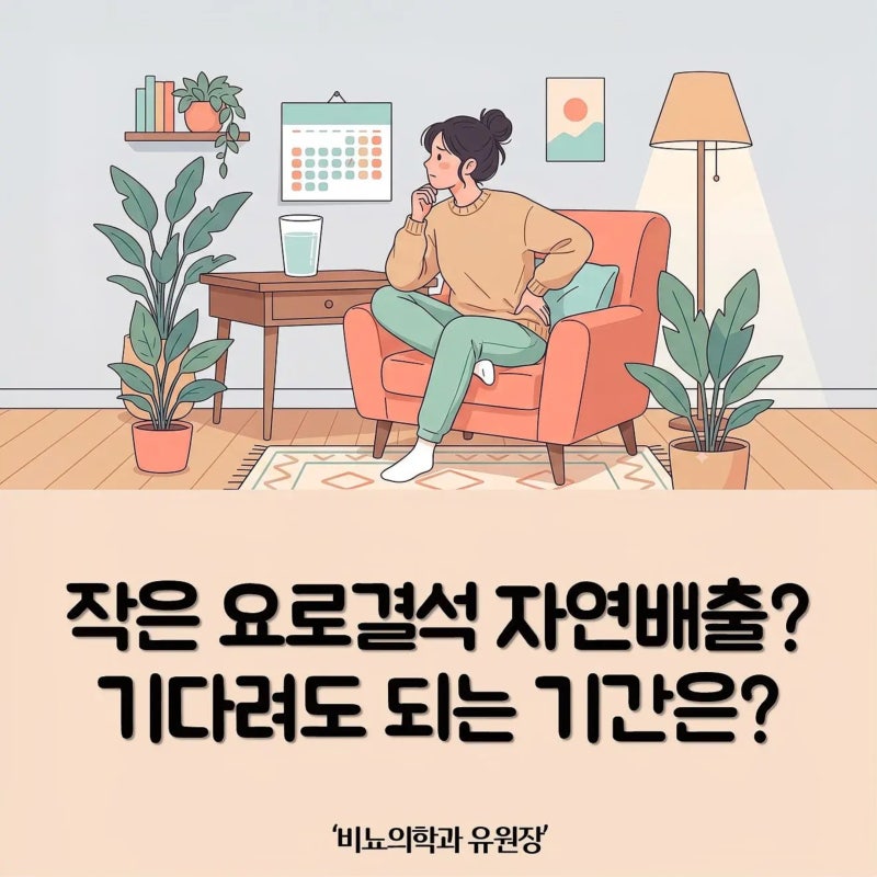 작은 요로결석 자연배출 가능할까? 관찰 기간과 응급 수술 기준 (비뇨의학과 전문의)