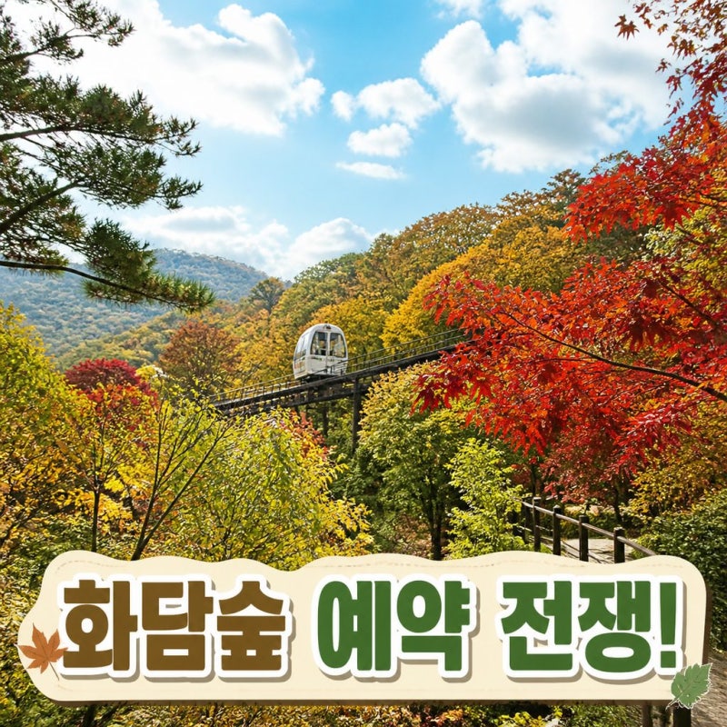 10월 경기도 광주 가볼만한곳 화담숲 예약 방법 및 모노레일 꿀팁 총정리