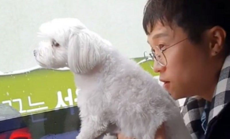 박성광 아내 이어 반려견까지? “새벽 응급실행” 광복이 상태가