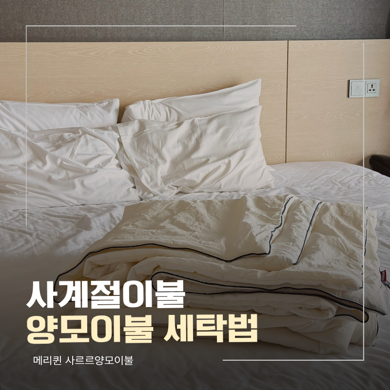 양모이불세탁법, 집에서 통돌이로 세탁하는 사계절이불 '메리퀸 사르르양모이불'