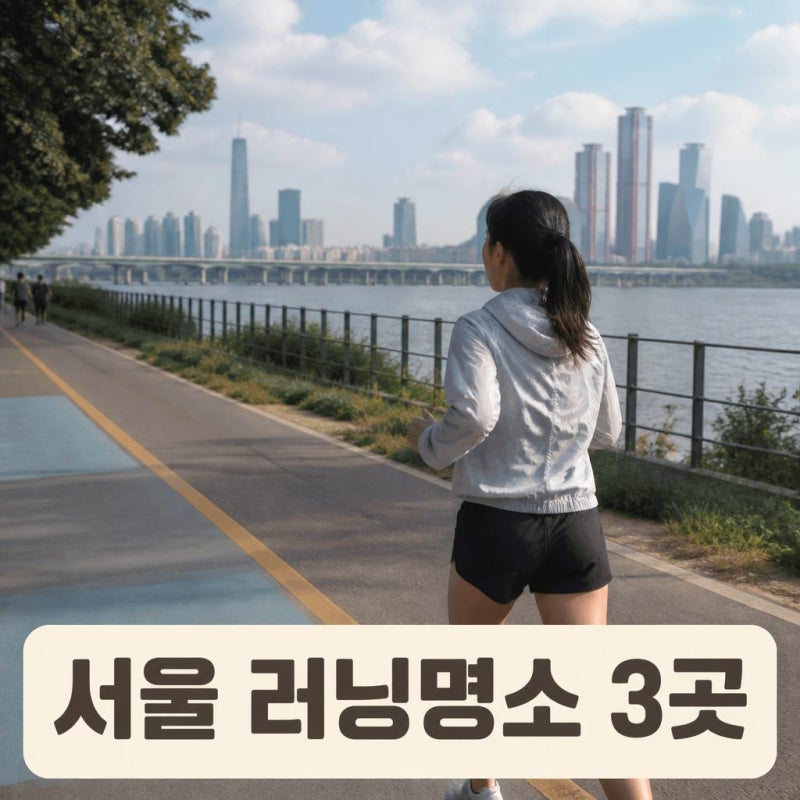 서울 러닝 명소 추천(뉴발란스 여의도 런 허브, 뉴발란스 북촌 런 허브 마포 런 포트)