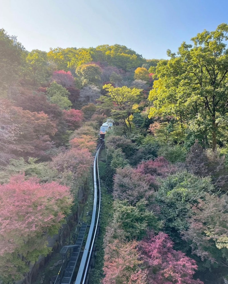 화담숲 단풍 언제 가야 할까? 10월 말 실제 풍경 + 2026 가을 예약 일정