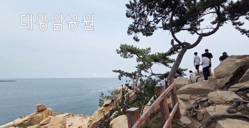 울산 여행 추천 아이들 어른들과 가볼만한곳 대왕암공원과 출렁다리 관광 코스 입니다.