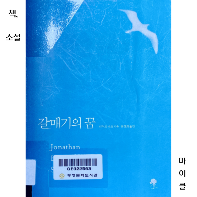 『갈매기의 꿈』 완결판 독후감 ｜ 현실과 이상 사이에서 다시 생각해 본 '어떻게 살 것인가'