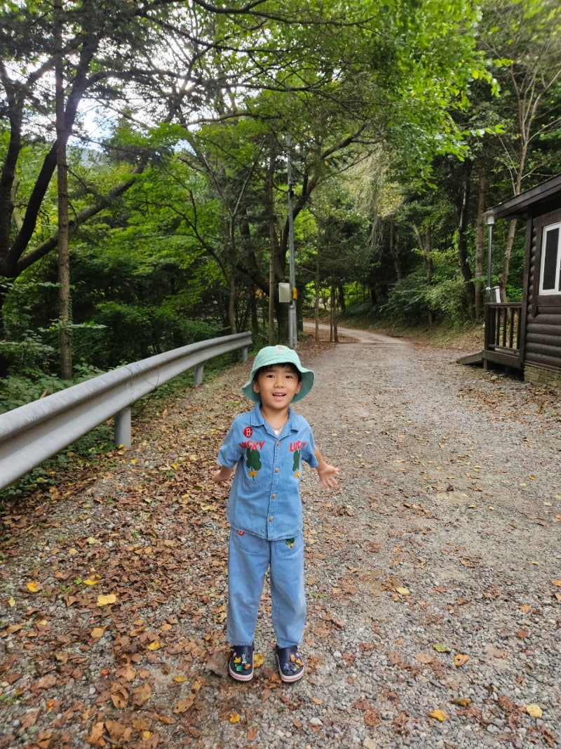 유명산자연휴양림 캠핑장 숲속의집 올빼미 휴양관 계곡 데크