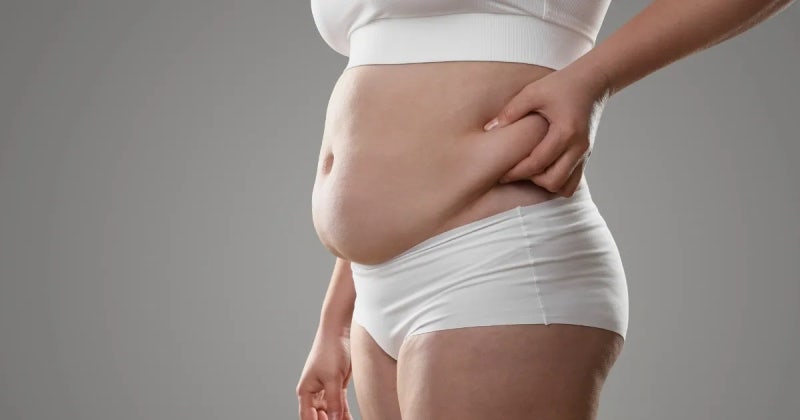 [다이어트 정보] 인바디 이걸 안 보면 의미 없어요!! 내장지방 vs 피하지방, 진짜 위험한 지방....