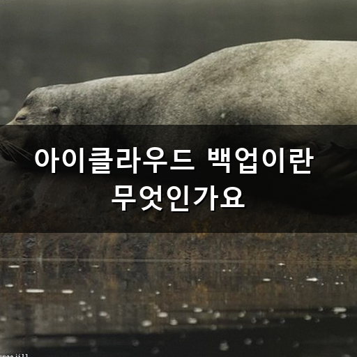 "공간이 부족하다고 나오네요" 아이클라우드 백업에서 확인하는 용량 관리 요령