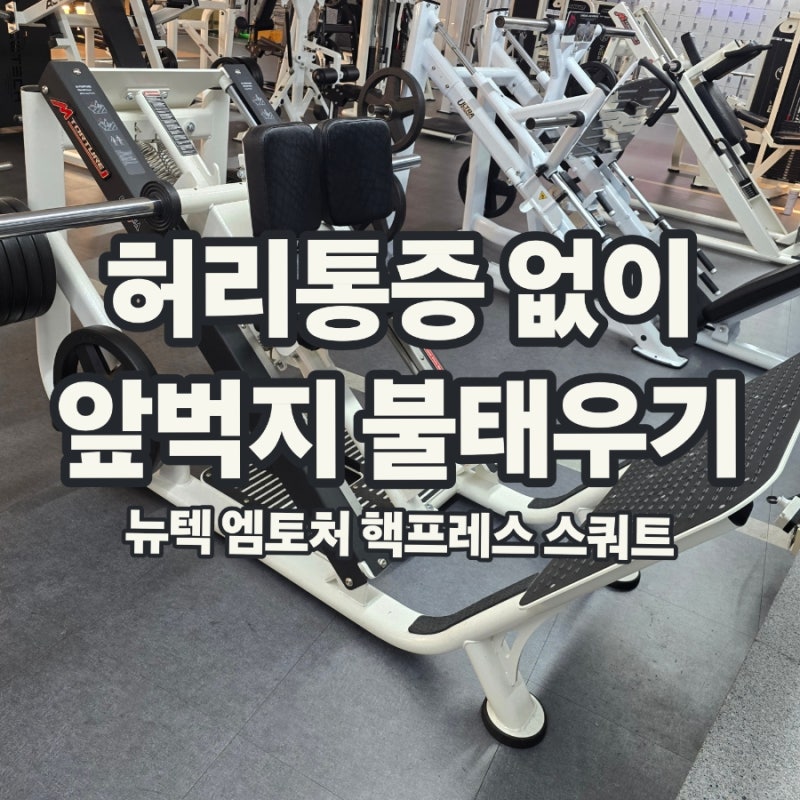 [하체 운동 머신] 허리 부담 없이 앞벅지 제대로 털어내는 뉴텍 엠토쳐 핵프레스 스쿼트 솔직....