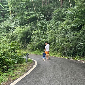 가평 여행 가성비 숙소 국립유명산자연휴양림