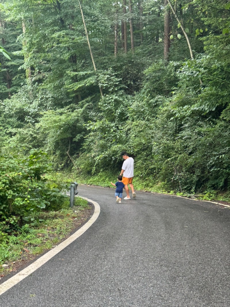 가평 여행 가성비 숙소 국립유명산자연휴양림