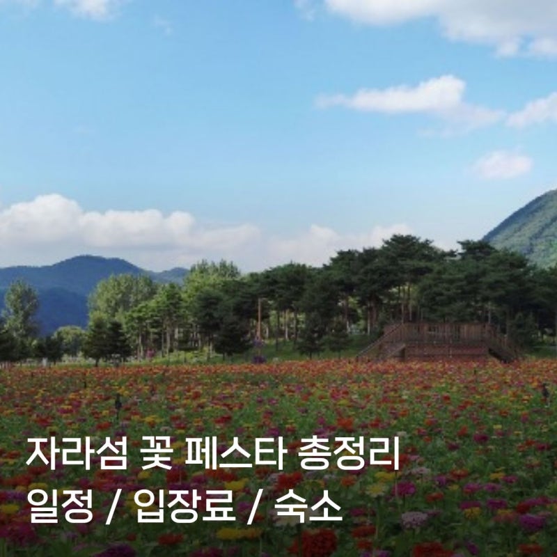 2026 자라섬 꽃 페스타 가을 축제 입장료 일정 숙소 총정리